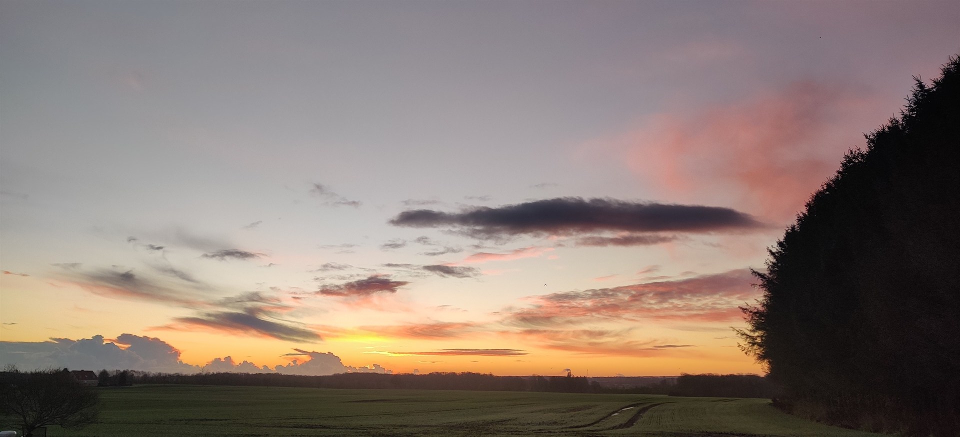 Udsigten fra sommerhuset